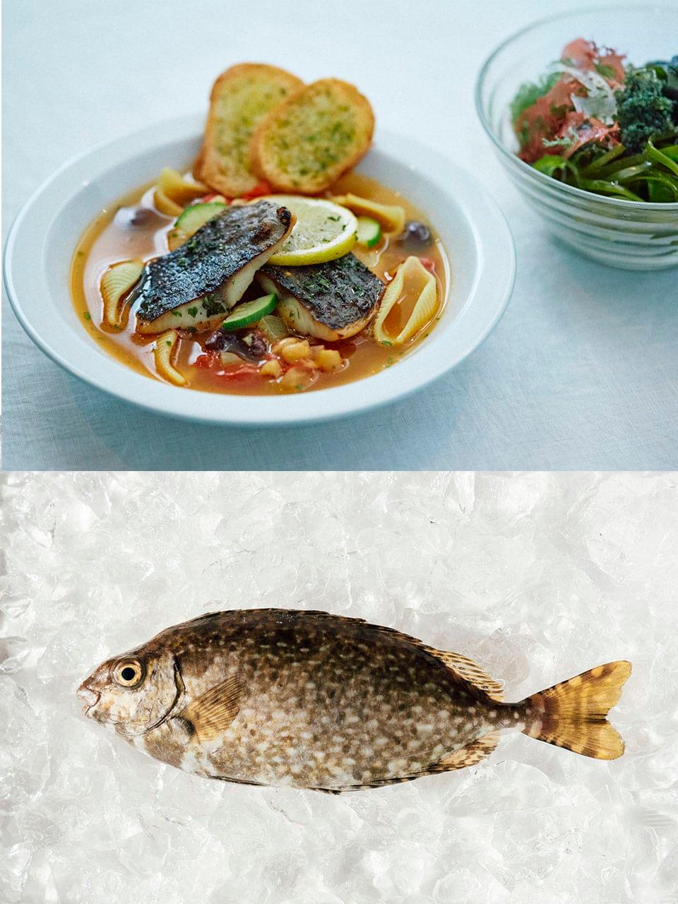 市場に出回らない未利用魚が絶品ブイヤベースに変身。食から、物語から、海に興味をもつインスタレーション開催。