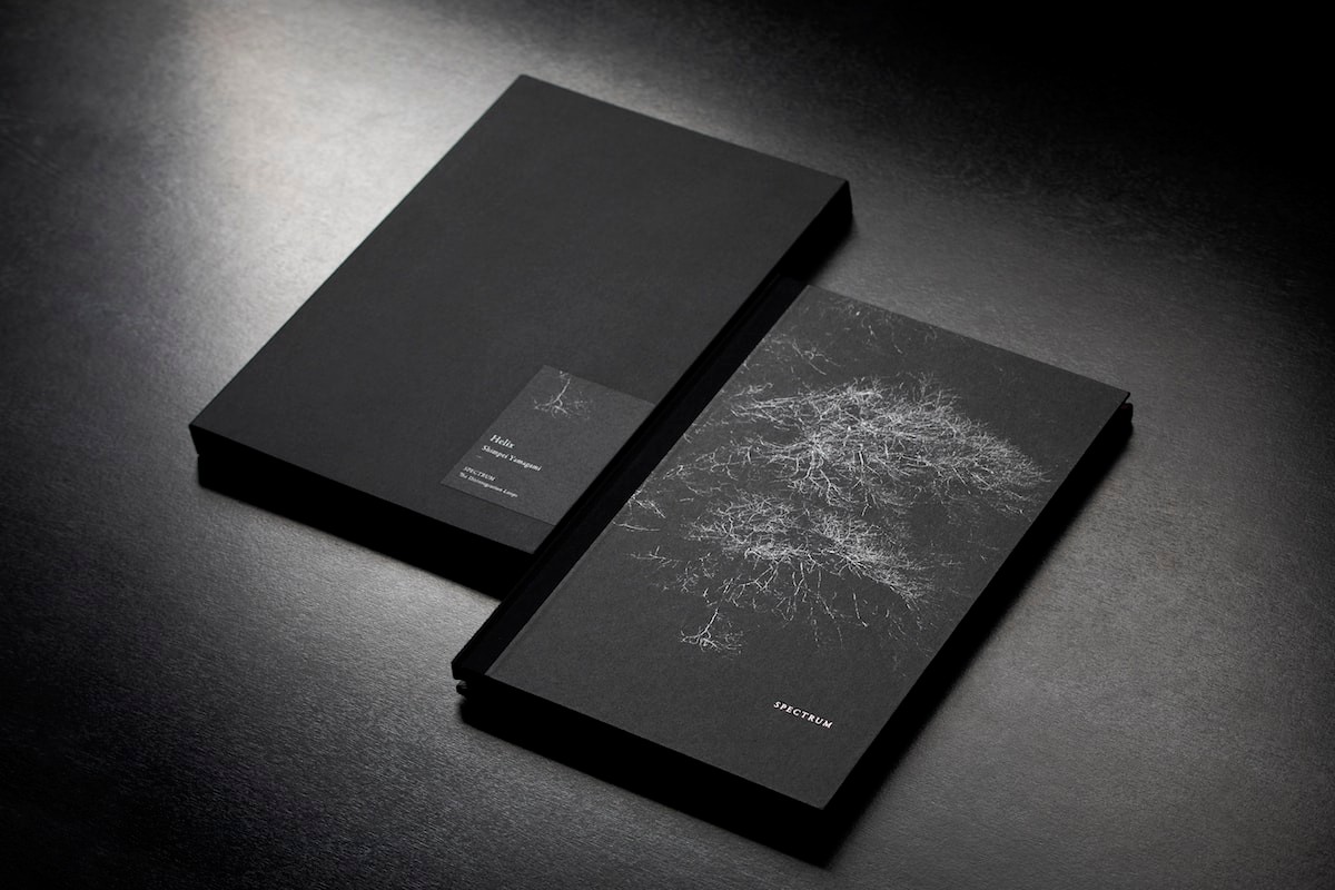 ギャラリーフモト ミナペルホネン5 - Slide:2