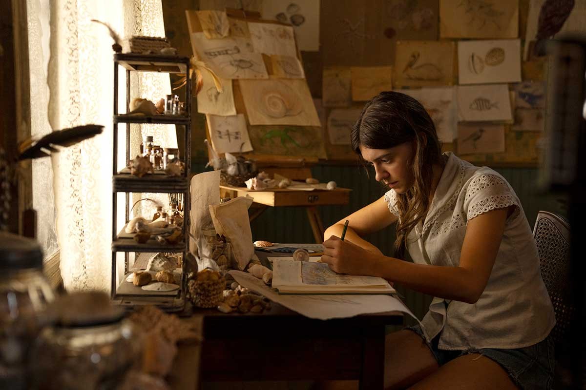 ザリガニの鳴くところ - Slide:4