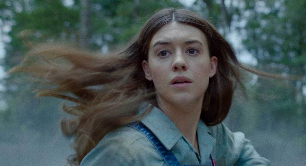 ザリガニの鳴くところ - Slide:5