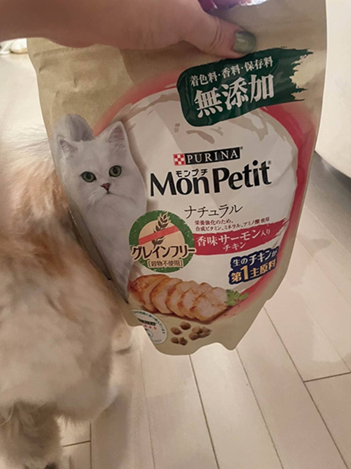 “ウチの子”の愛用品 vol.2 三嶋ひな×ガラシャ - Slide:3