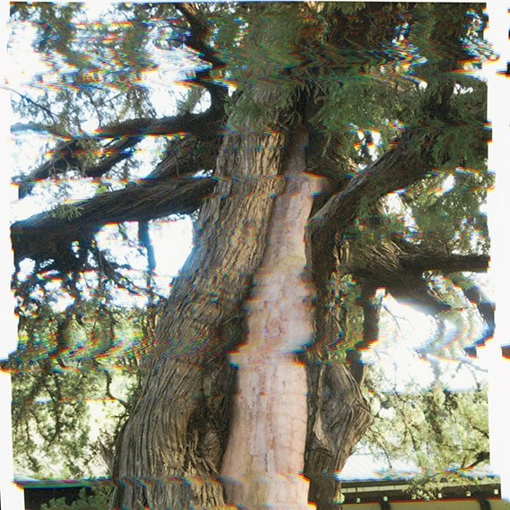 小谷実由も体験!東京の“今”を感じるプラットフォーム〈T-HOUSE New Balance〉 - Slide:10