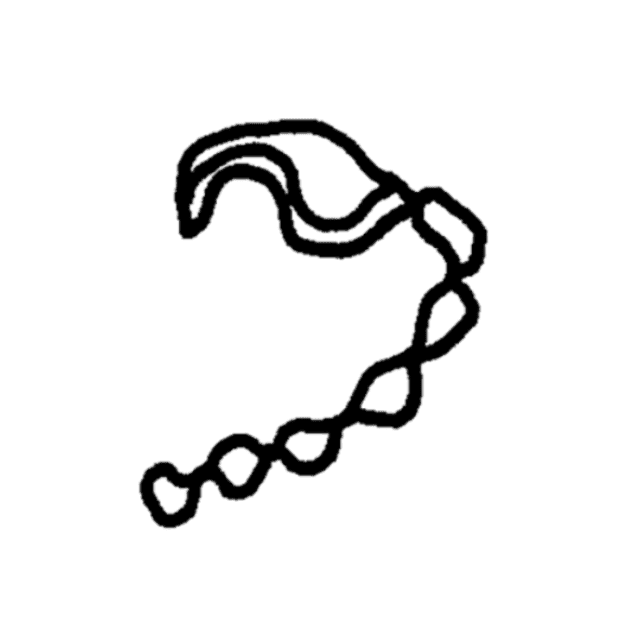 さそり座(10/24〜11/22)