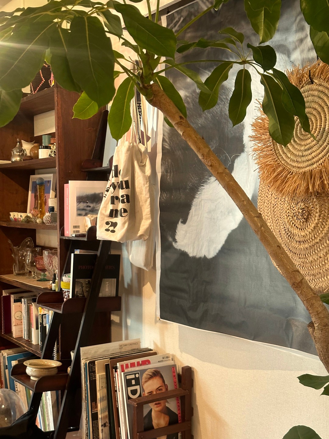 私と部屋 vol.115 感覚的に集めたインテリアで彩る - Slide:6