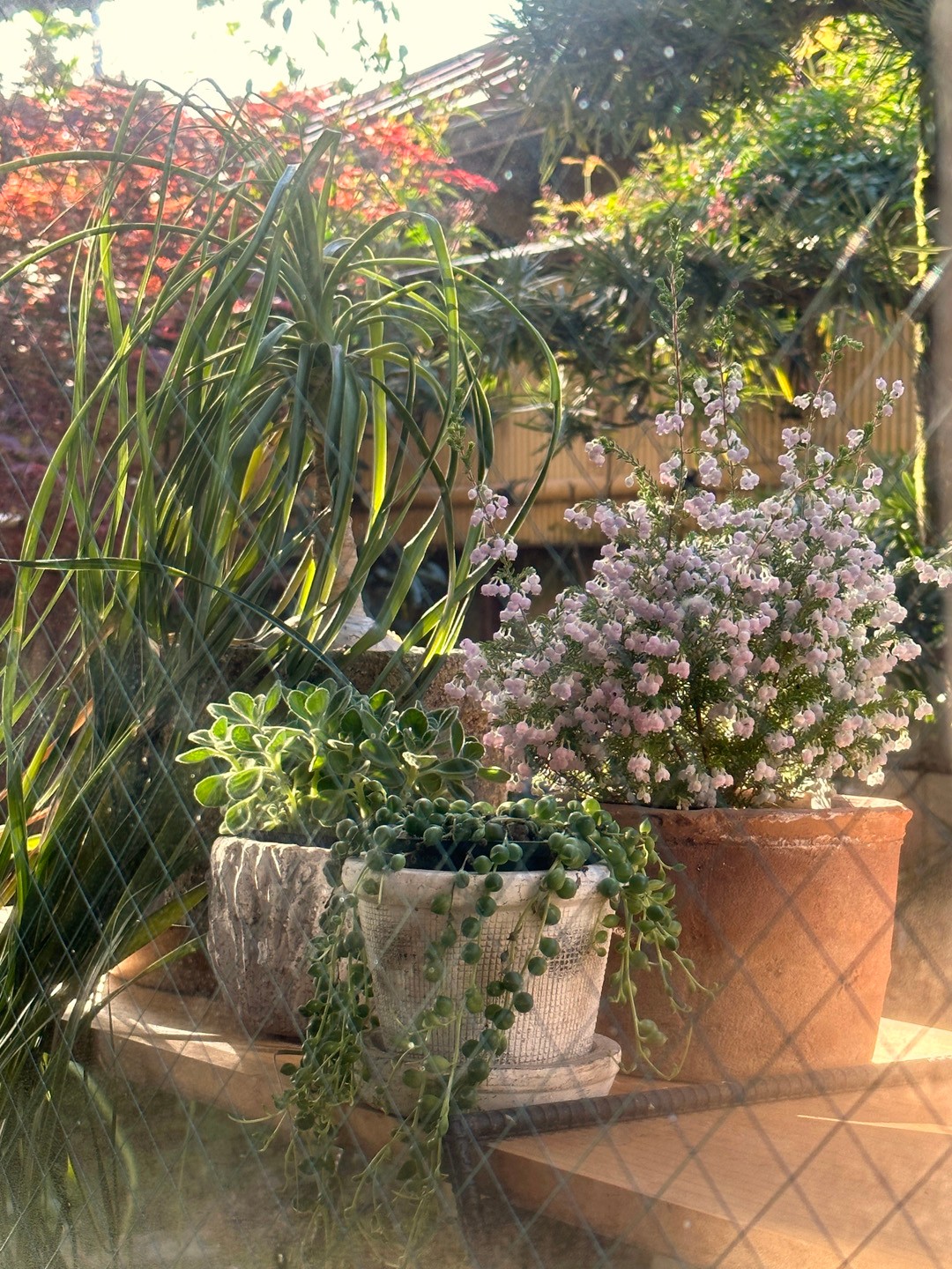 私と部屋 vol.115 感覚的に集めたインテリアで彩る - Slide:8