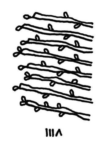 【しし座】Juicy☆「今月のえらい子ちゃん」へ 10月12日〜11月9日