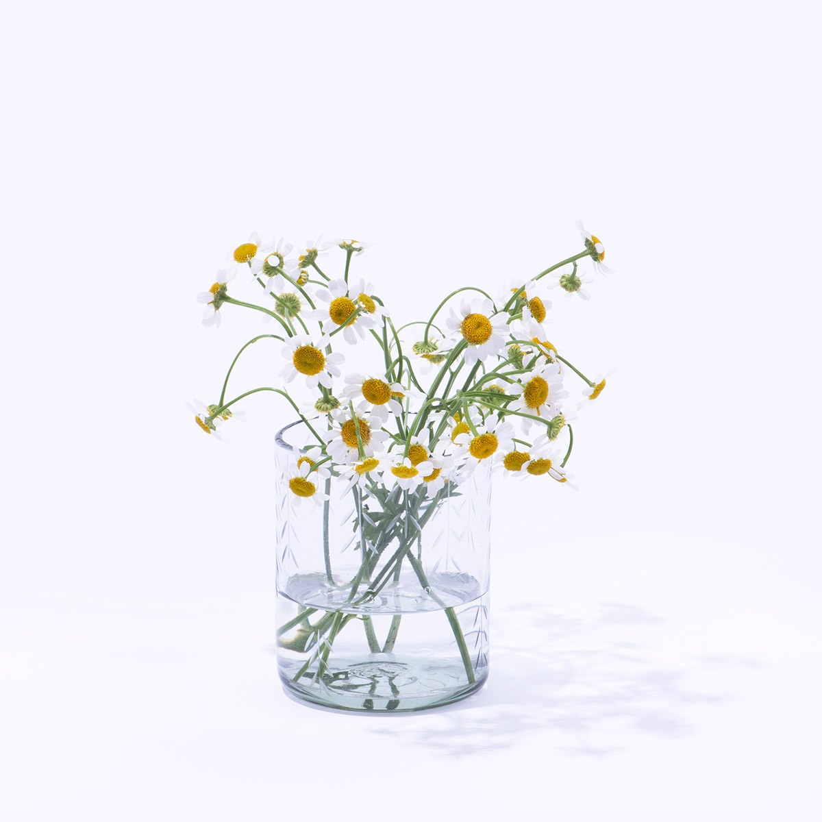 フラワーベース8選【冬ギフト100】 - Slide:6