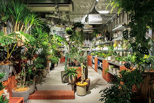 SOLSO HOME DAIKANYAMA