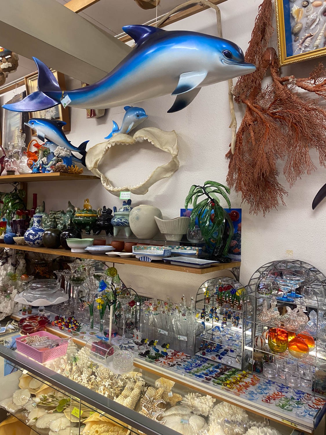 最も尊い買い物体験について。魚津水族館の「真珠コーナー」 - Slide:1