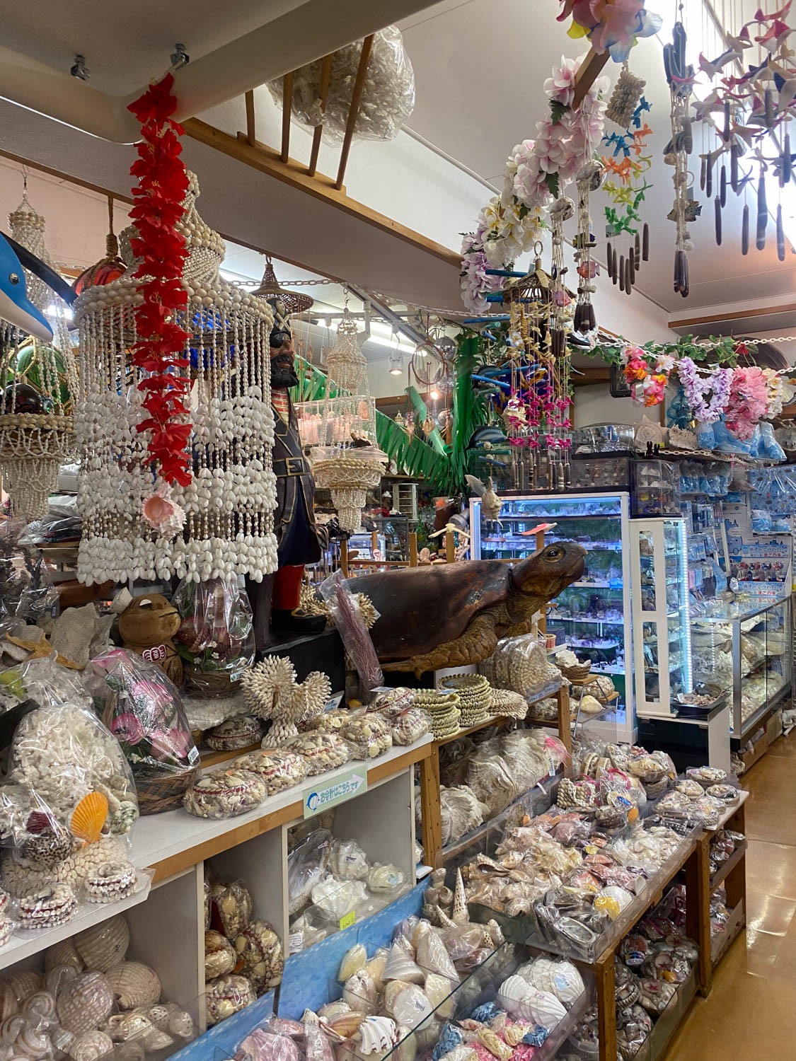 最も尊い買い物体験について。魚津水族館の「真珠コーナー」 - Slide:2