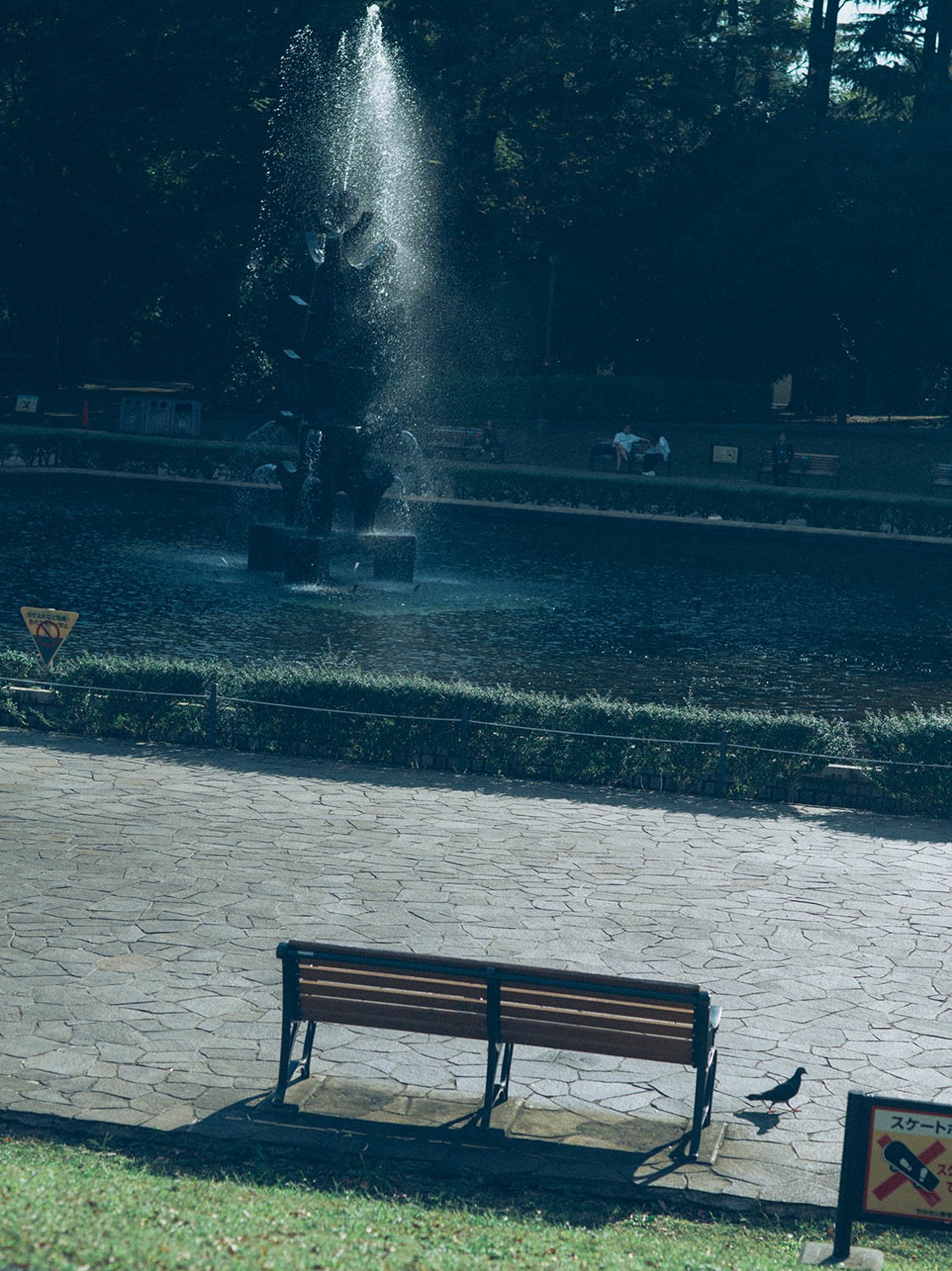 結成直後にネタ合わせをしていた世田谷公園は当時と変わらない。