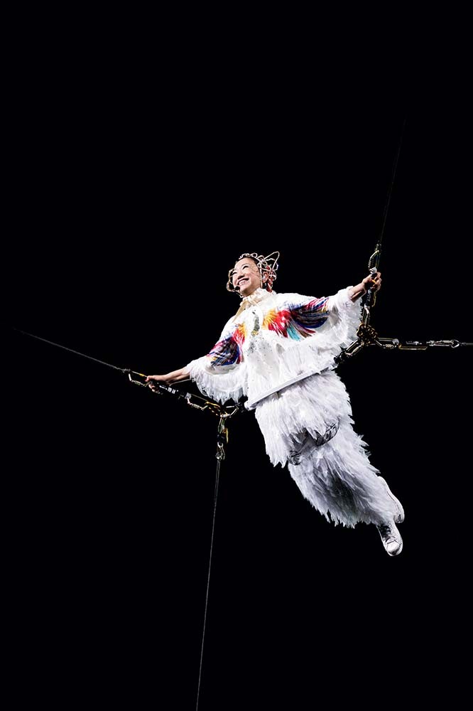 衣装から見るドリカムワンダーランド