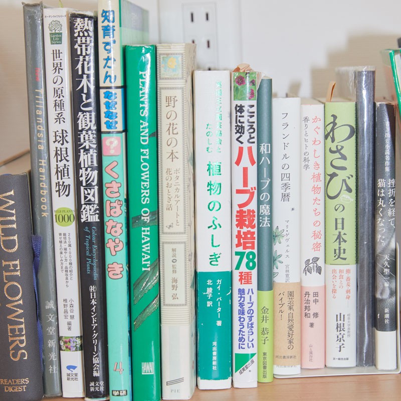 伊藤万理華「誰かのホーム・スイート・ホーム」 | アレキサンダー・ジュリアン - Slide:1