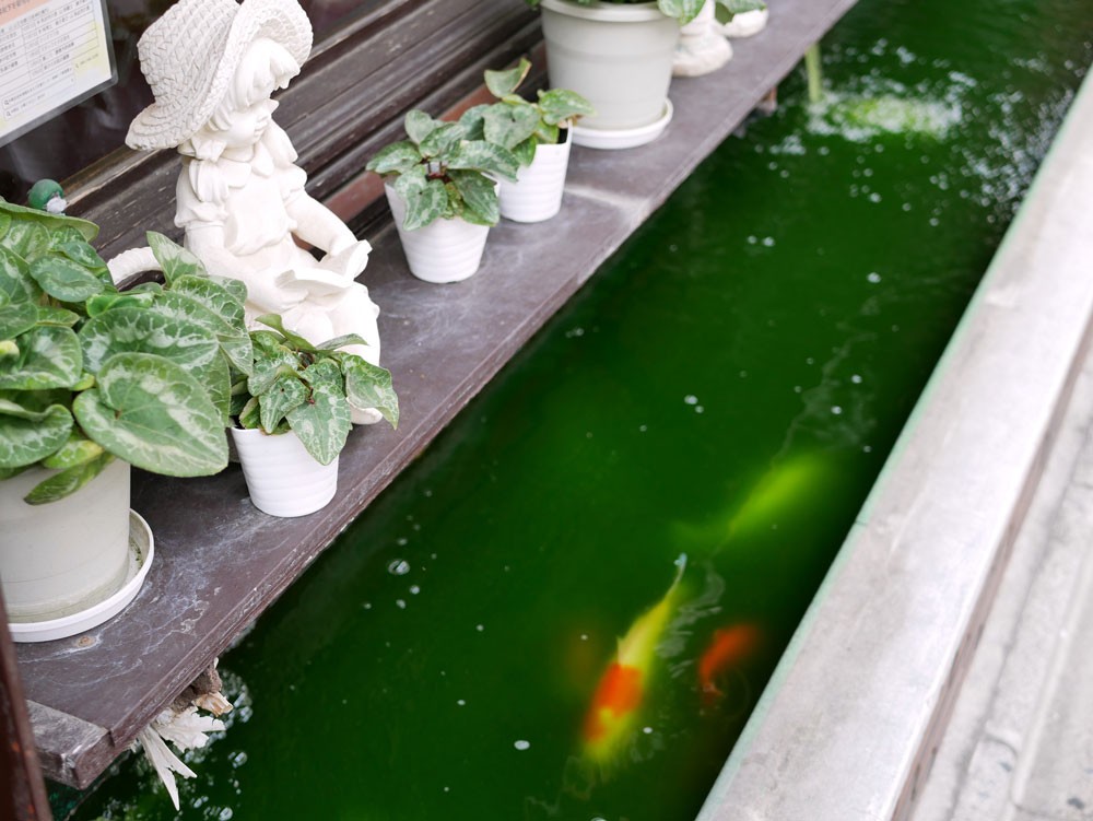 新丸子「まりも」|喫茶店 - Slide:3