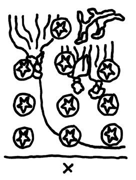 【かに座】Juicy☆「今月のえらい子ちゃん」へ 8月9日〜9月11日