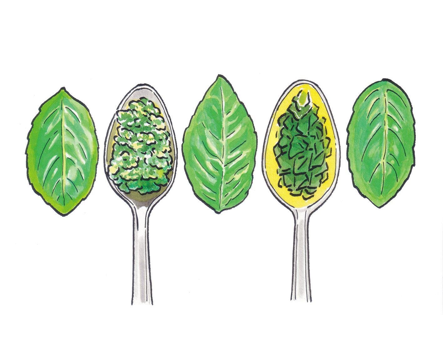 バジルに誘われて