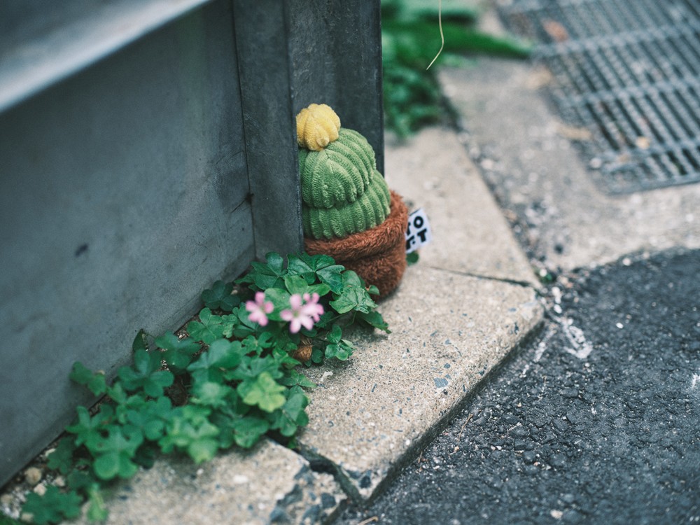 部屋を彩るインテリアをゲームセンターでゲットできる⁈ - Slide:5