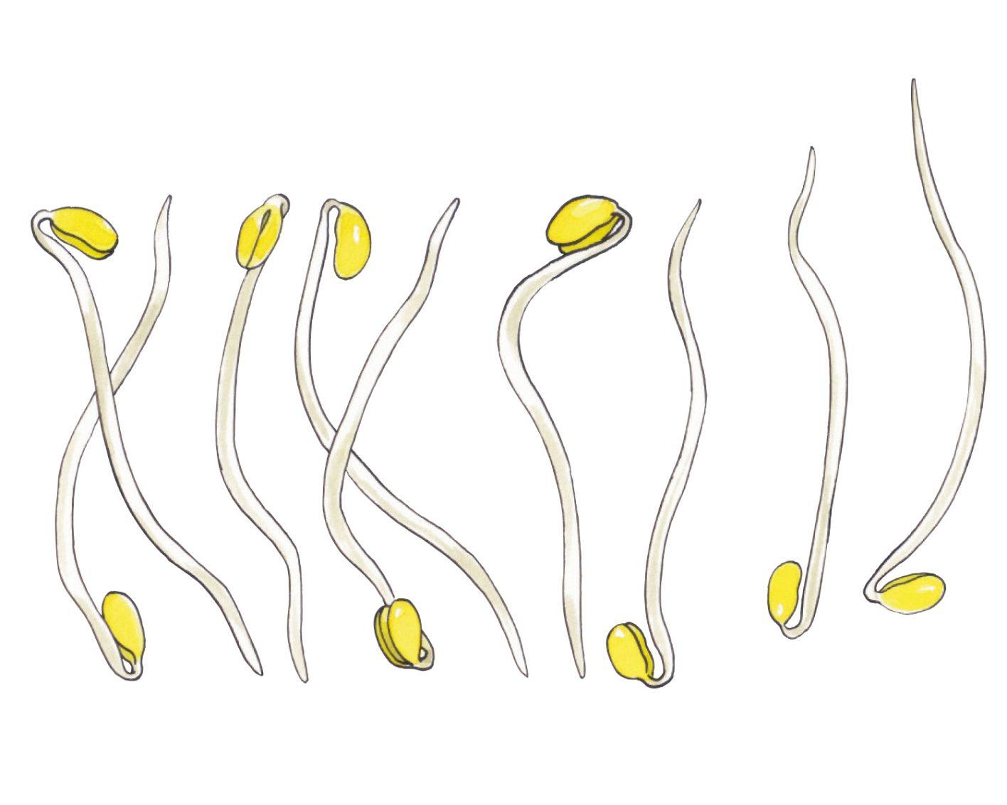 地味なのにクセになる