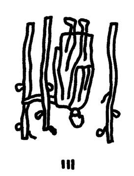 【みずがめ座】Juicy☆「今月のえらい子ちゃん」へ 12月12日〜1月12日