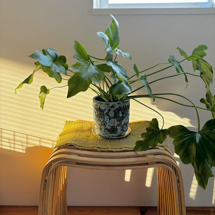 GINZAとPOPEYEが贈る、日常がちょっと楽しくなる6アイテム - Item:7