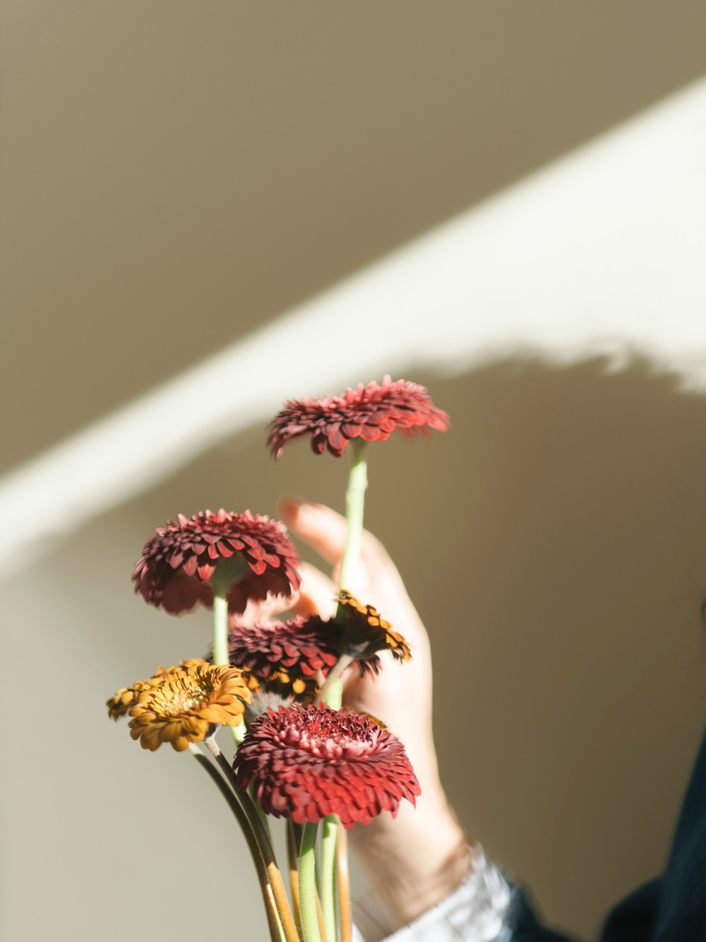 〈ドゥロワー〉がフォトブック『Flower Book』を制作 水谷太郎 須山悠里 - Slide:10