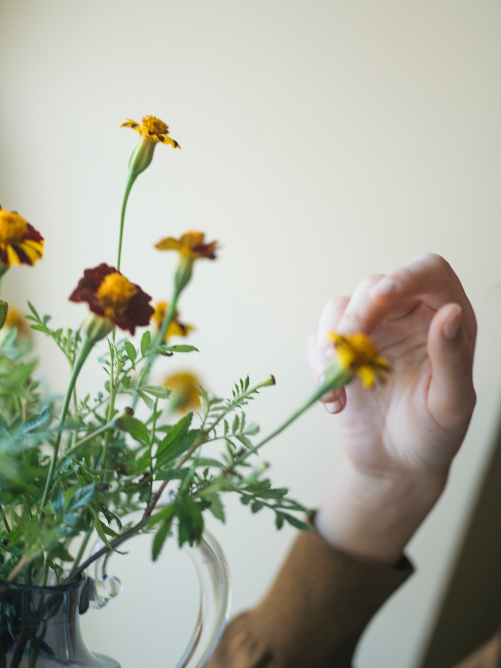 〈ドゥロワー〉がフォトブック『Flower Book』を制作 水谷太郎 須山悠里 - Slide:4