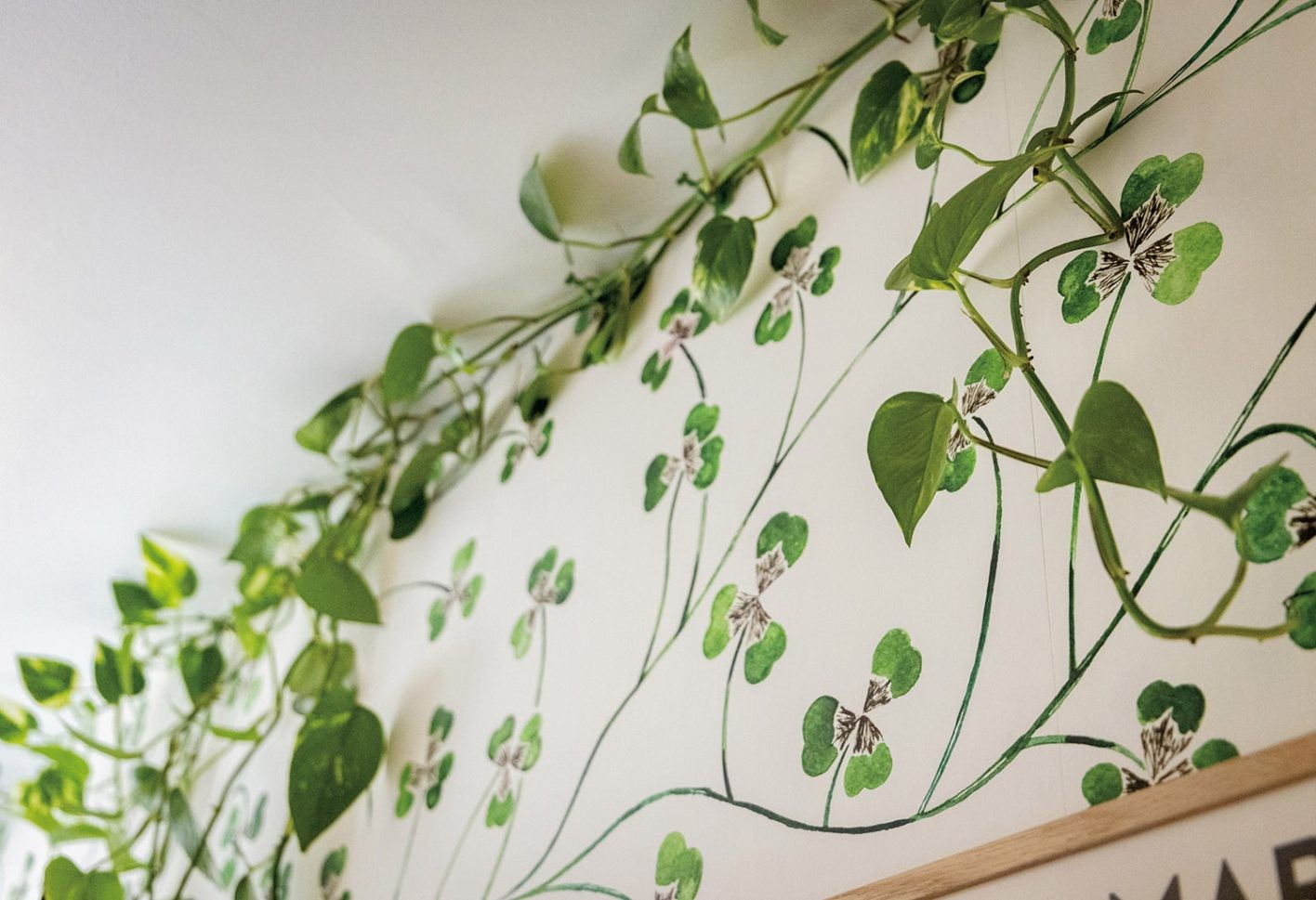 家具や雑貨にも植物愛を詰め込んで - Slide:2