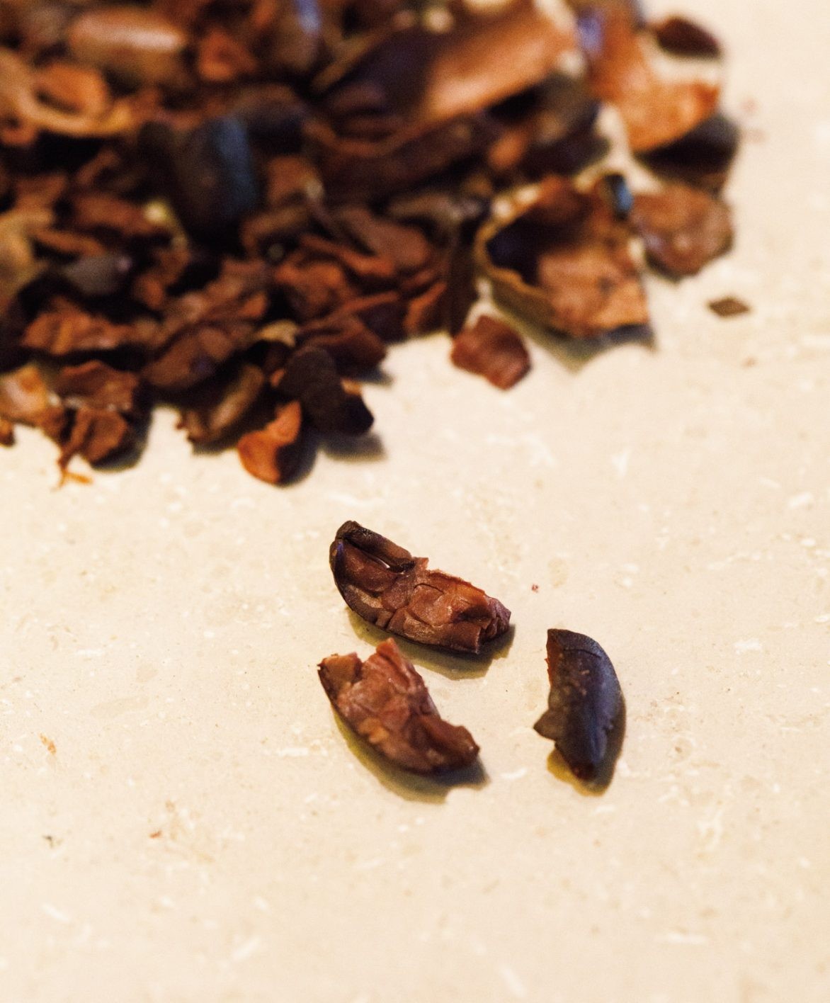 カカオの魅力と可能性にあふれた、新感覚ラボに感動 - Slide:3