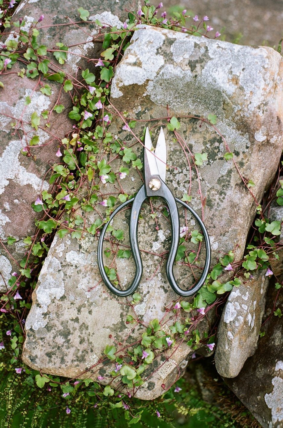 ポールスミス, Niwaki - Slide:1