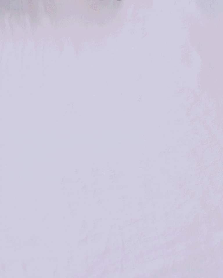 姉妹でつづる好日日記 vol.7