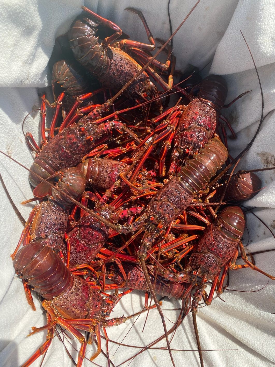 となりの5分メシ vol.105 - Slide:2