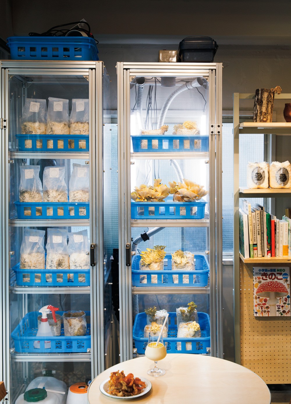 お店の中で栽培!?キノコが媒介する新コミュニティスペース - Slide:2