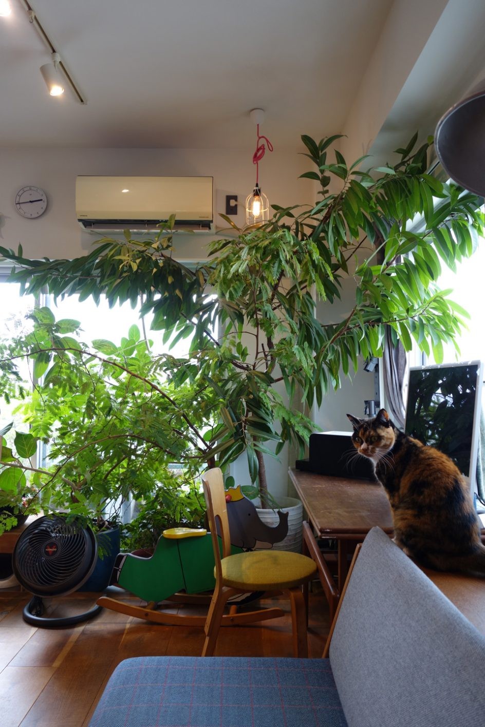 私と部屋 vol.131 それぞれの居心地が重なる家 - Slide:3