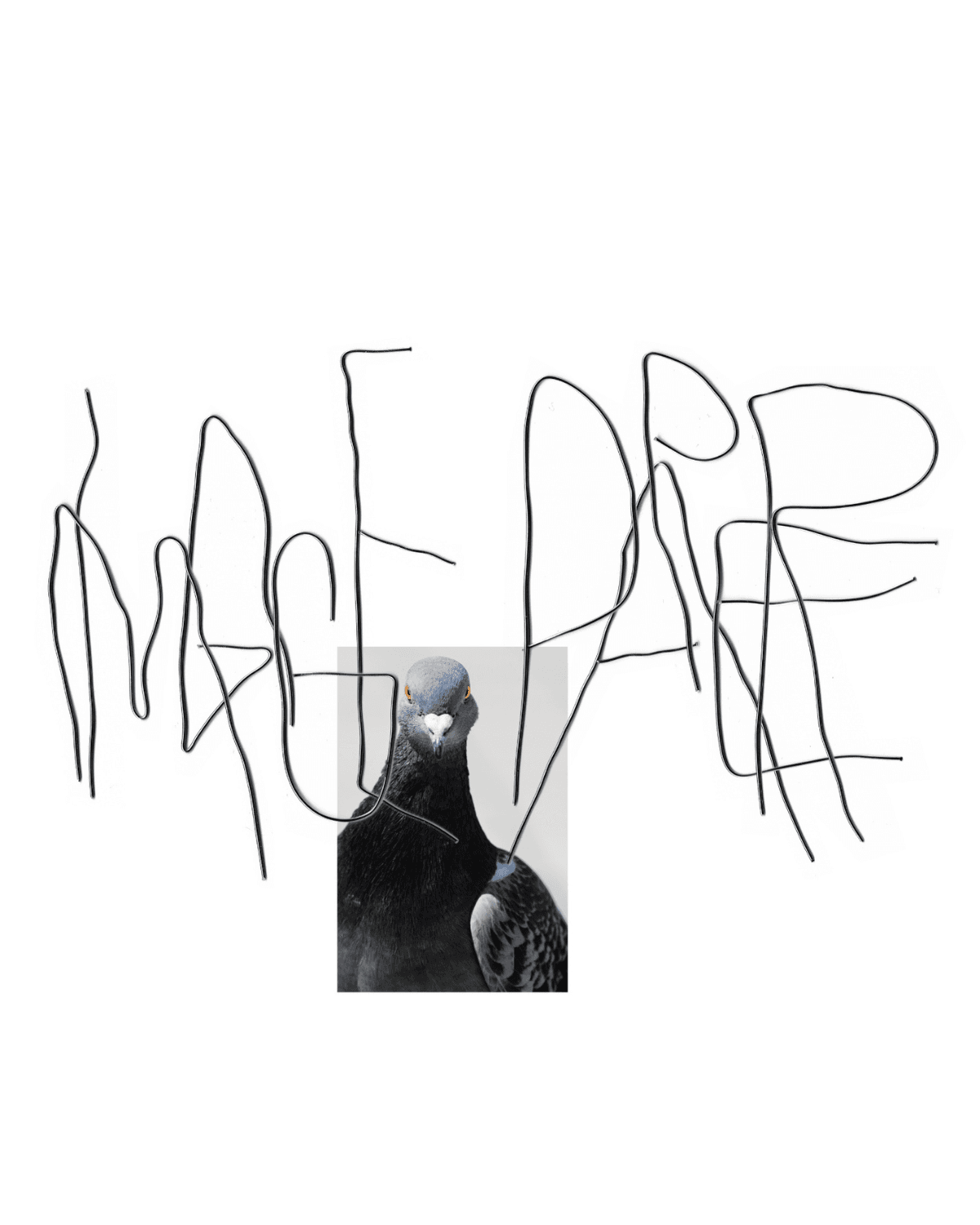 néné petit, Image Paper