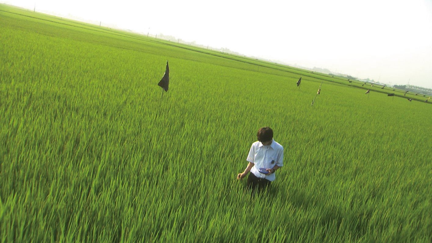 『リリイ・シュシュのすべて』場面写真