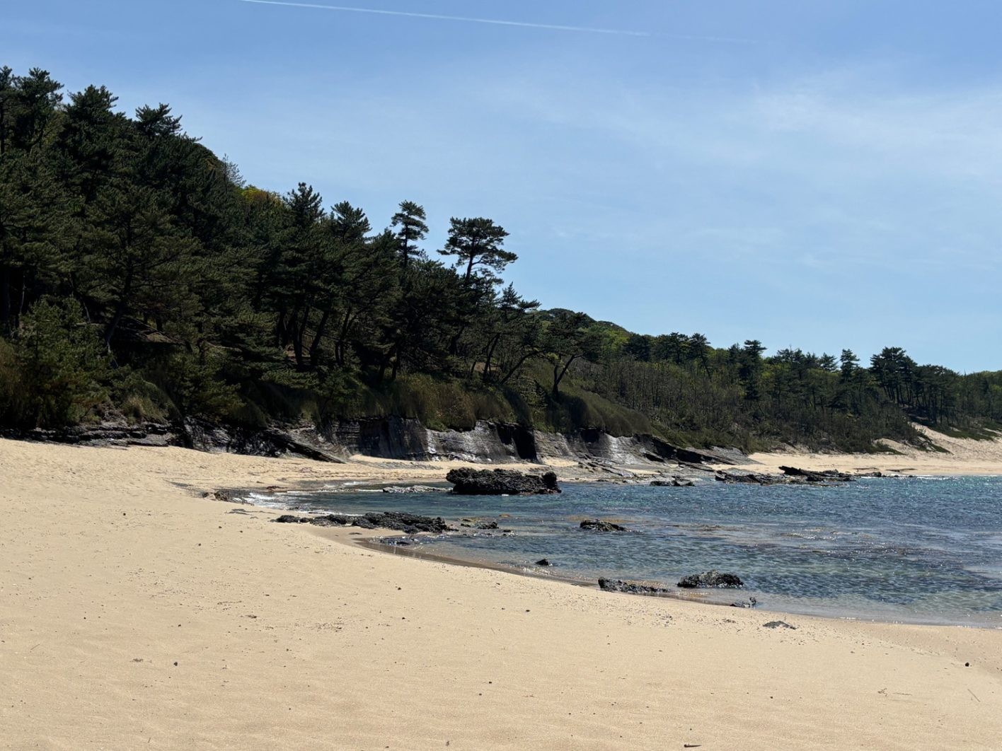 シャラさんが撮影した青い海!白い砂浜!そして左端で異彩を放つ大量の松!!!な風景