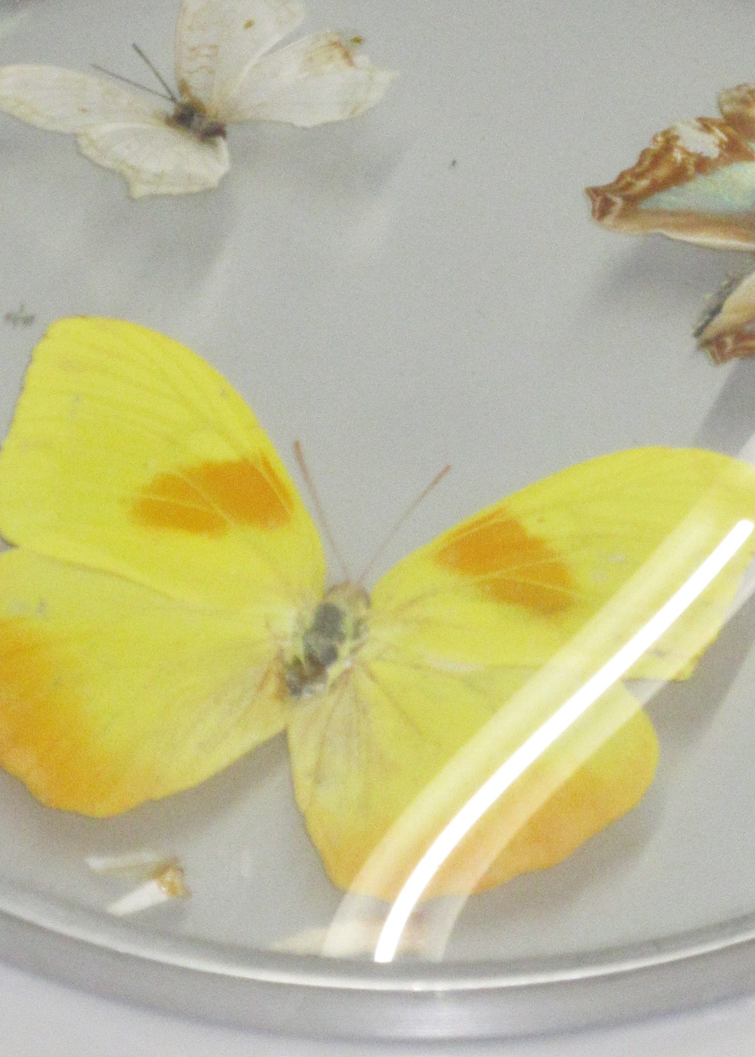 ブランケットがスカートに!? Jamie-Maree Shiptonが魅せる“見立て”の極意 - Slide:4