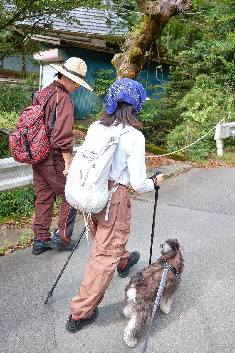 ASAMI THE MOUNTAIN|臼田あさ美|のせりん - Slide:2