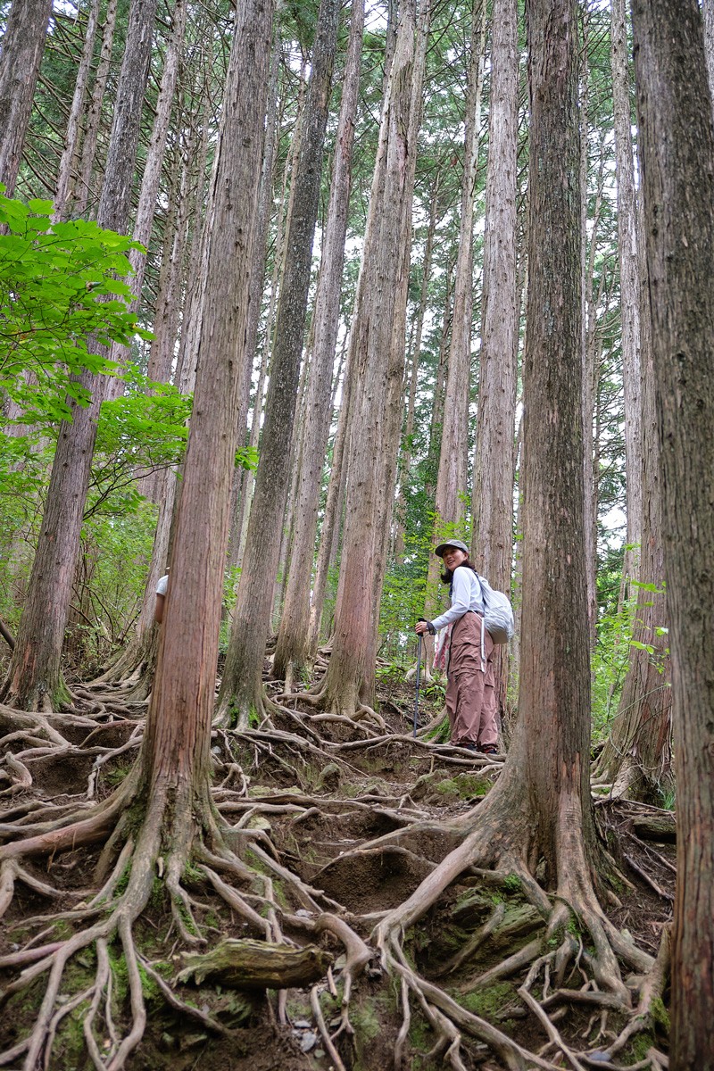 ASAMI THE MOUNTAIN|臼田あさ美|のせりん