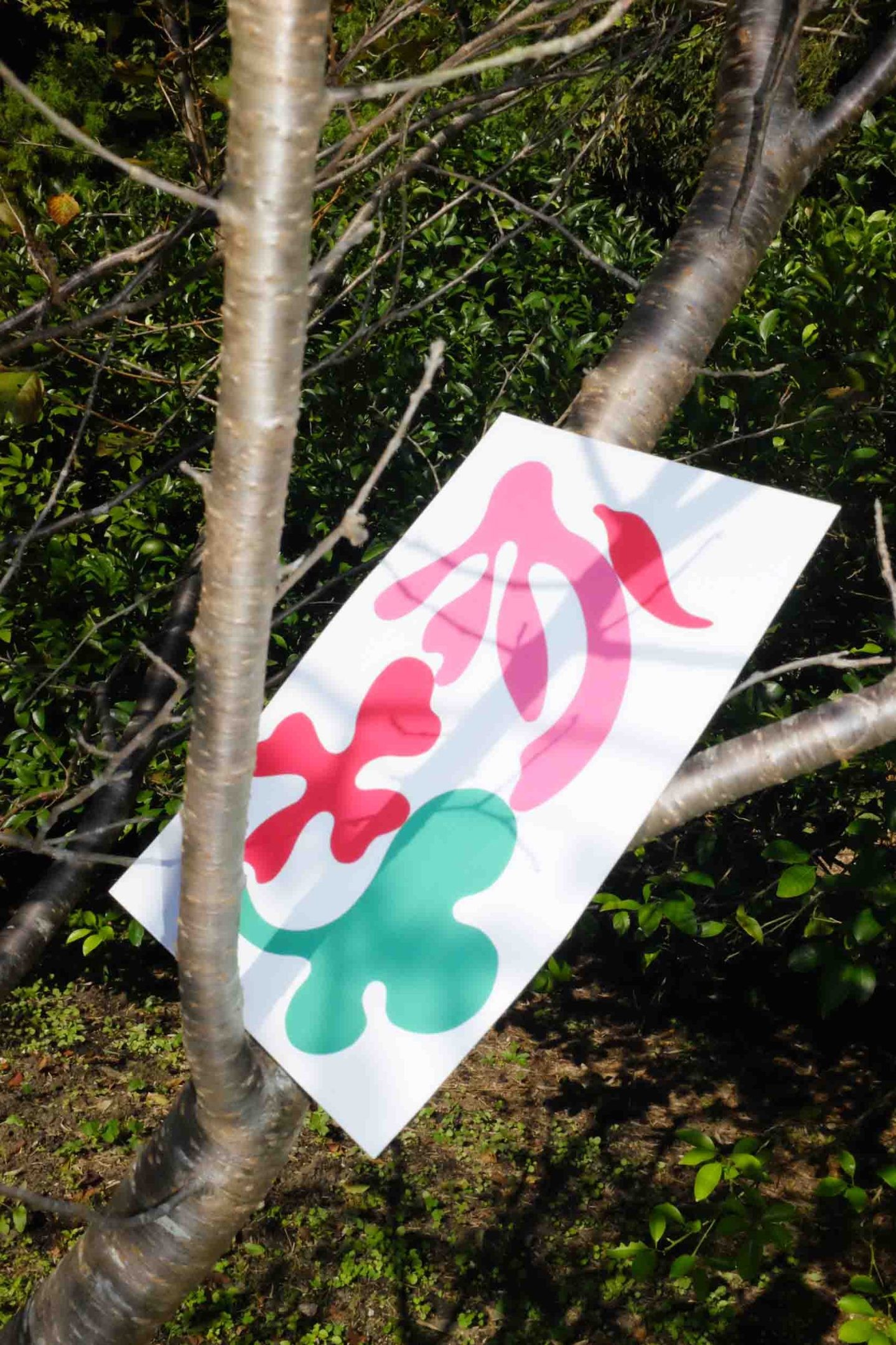 田中優大と田中杏奈の二人組ユニット「BIOTOPE」が展覧会を開催 - Slide:5