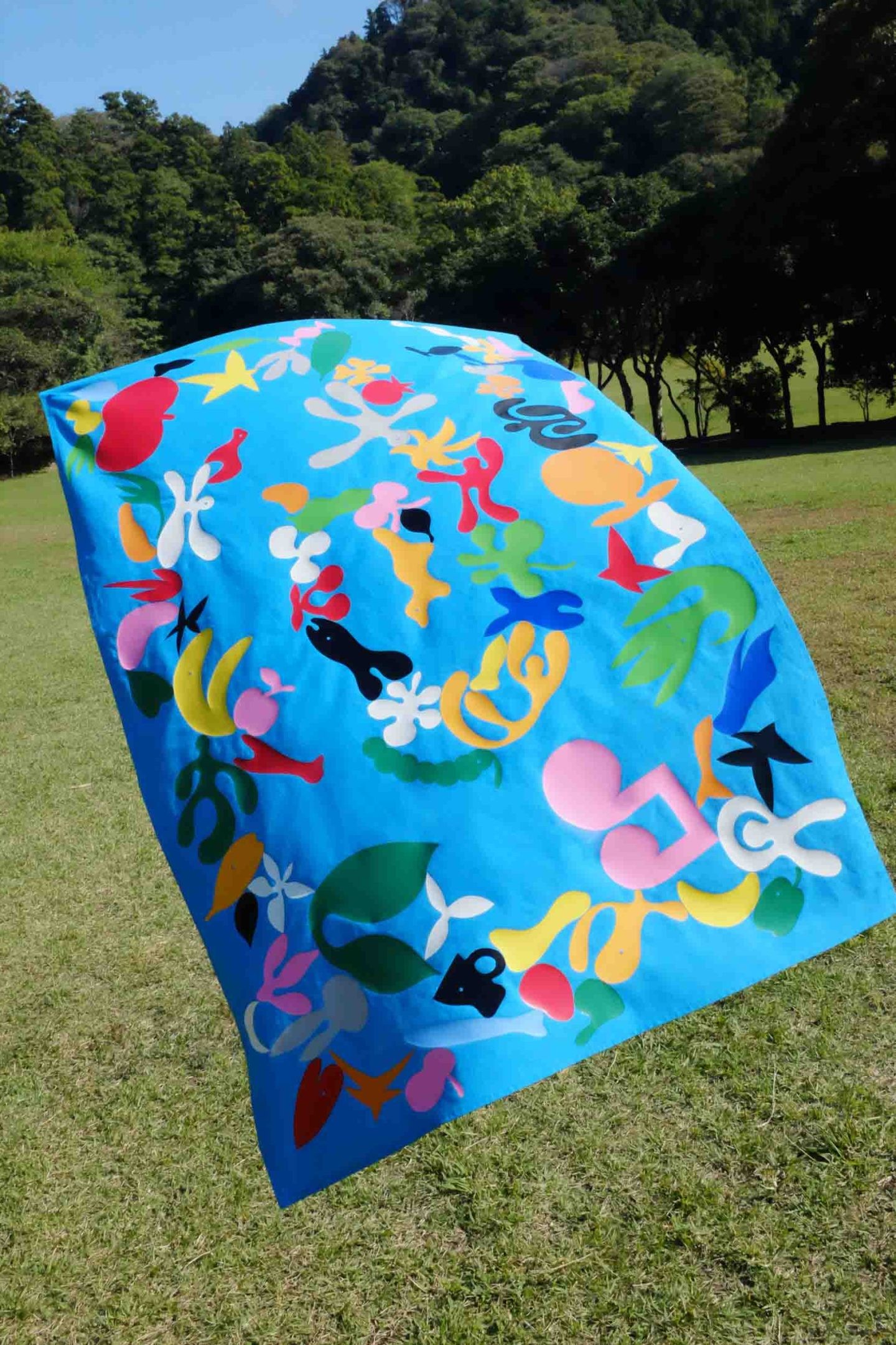 田中優大と田中杏奈の二人組ユニット「BIOTOPE」が展覧会を開催 - Slide:1