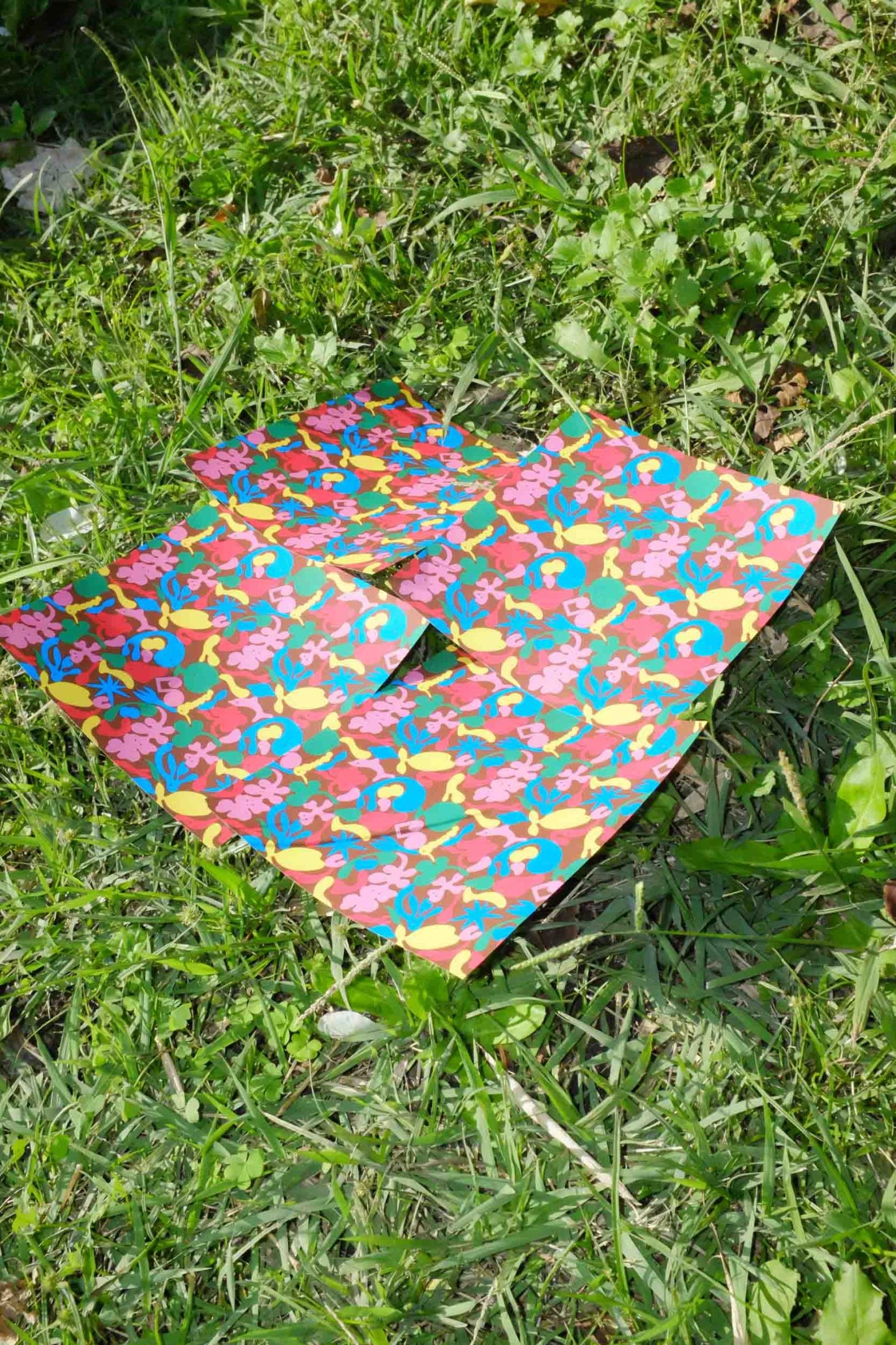 田中優大と田中杏奈の二人組ユニット「BIOTOPE」が展覧会を開催 - Slide:4