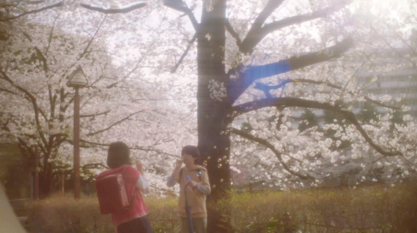 映画『秒速5センチメートル』場面写真