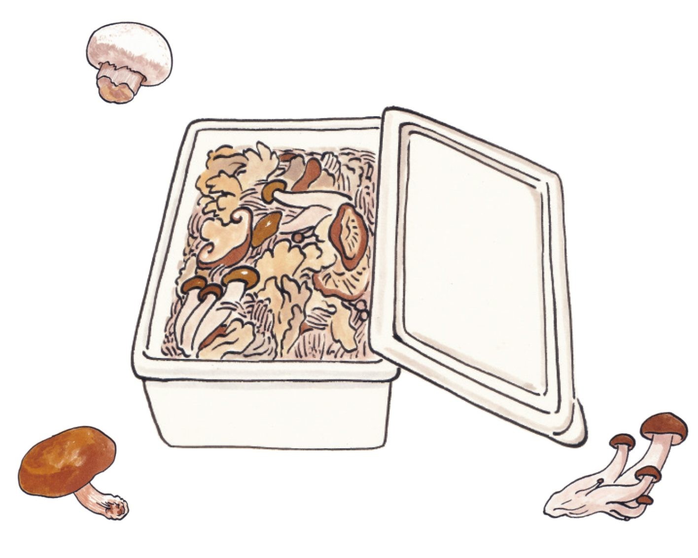 素っぴんきのこ