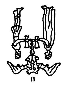 【さそり座】Juicy☆「今月のえらい子ちゃん」へ 11月12日〜12月11日