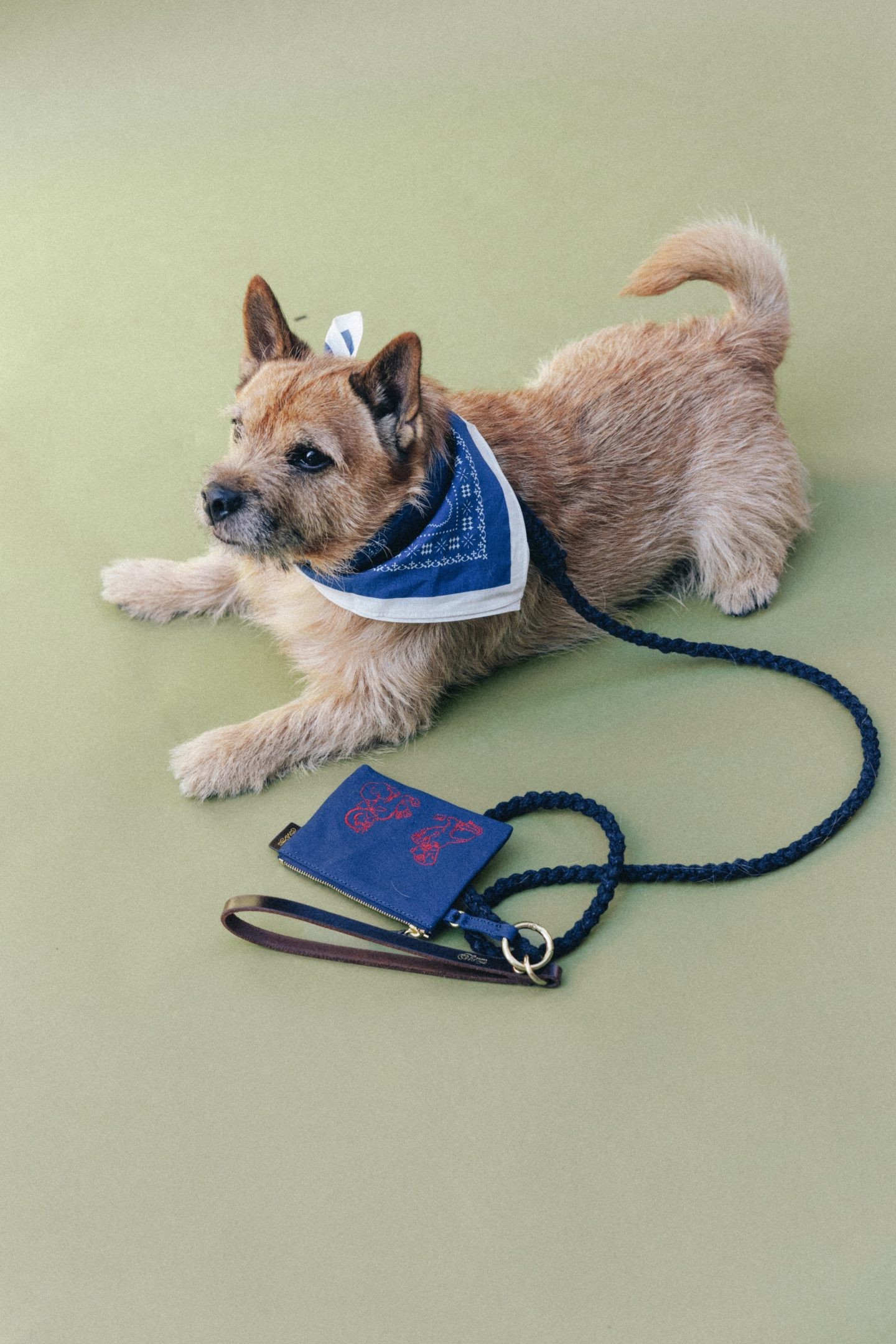 tout y est, トゥティエ - Slide:8