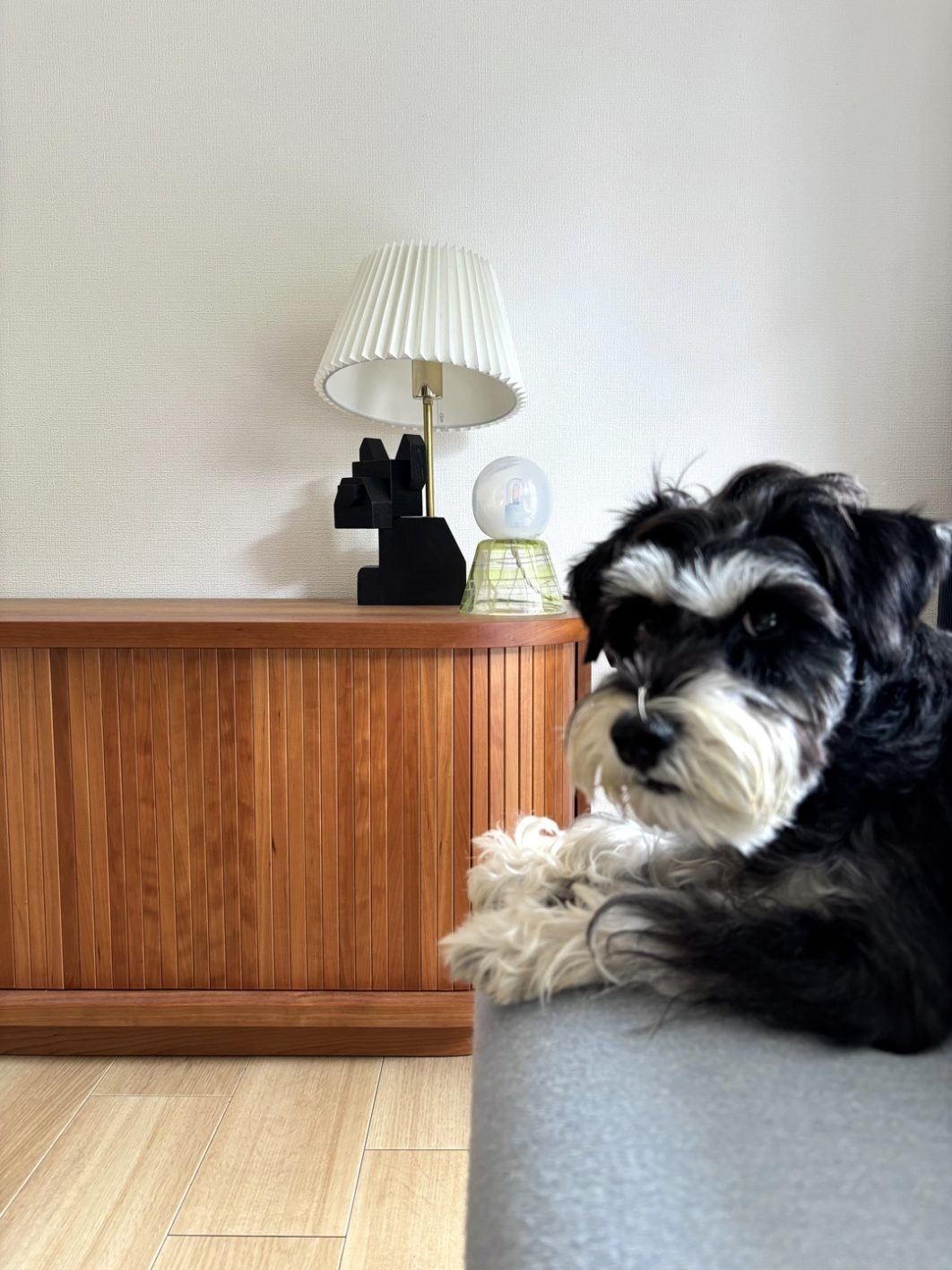 私と部屋 vol.135 人も犬もくつろぐ憩いの場 - Slide:1