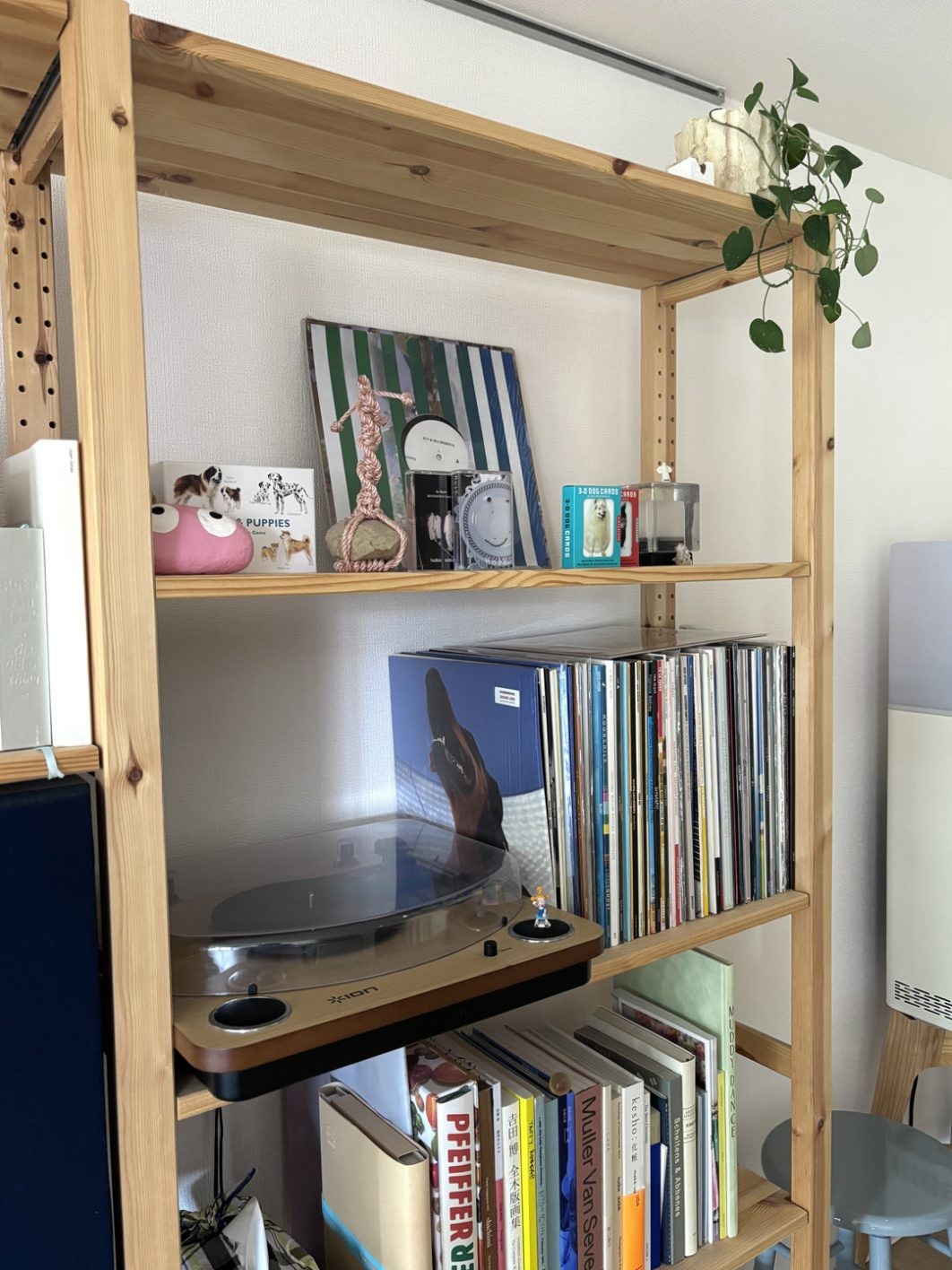 私と部屋 vol.135 人も犬もくつろぐ憩いの場 - Slide:3