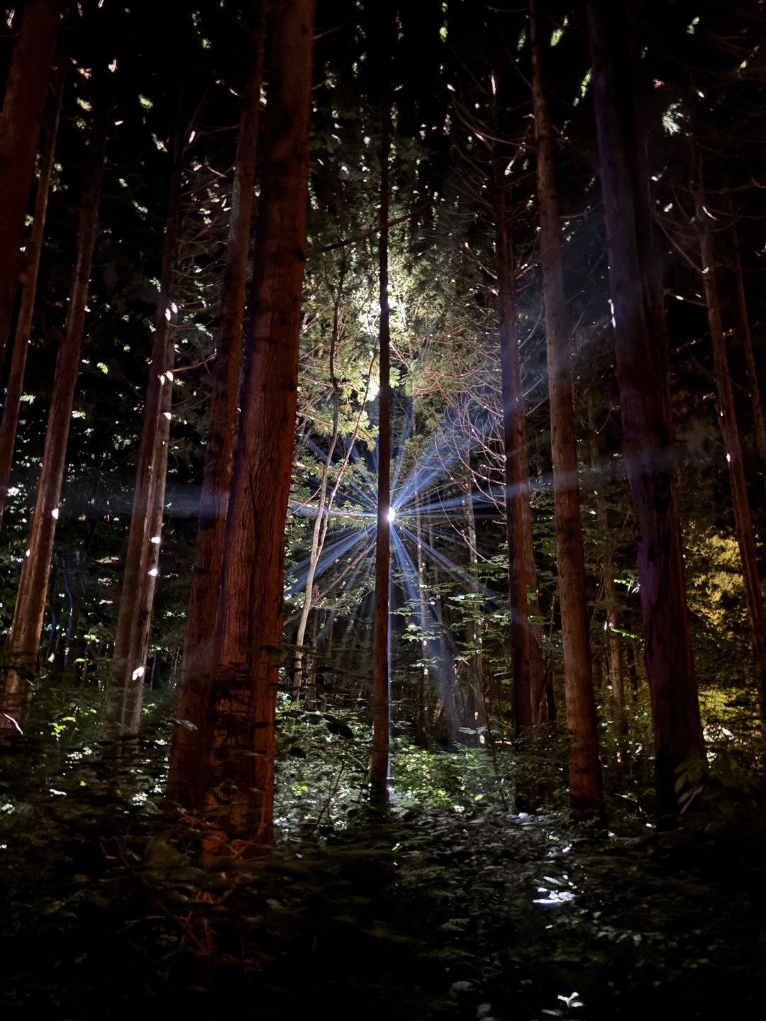 新しい音楽がくれるもの