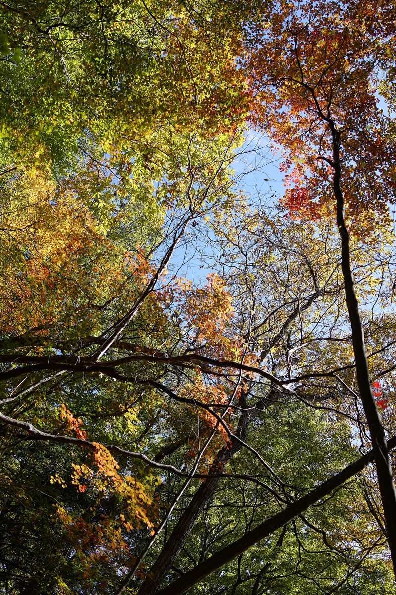 ASAMI THE MOUNTAIN|臼田あさ美さん|日向山 - Slide:2